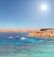 red_sea_coral_reefs